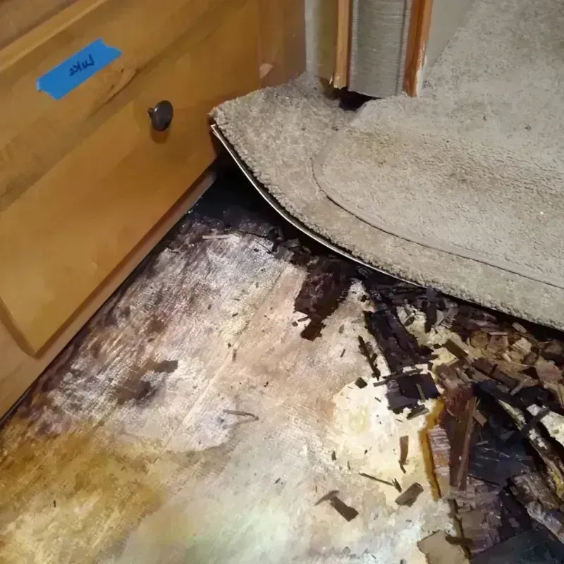 Best Wood Floor Water Damage Service in Dayton, KY